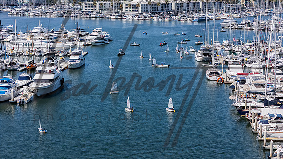 073125 Opti Championship-4