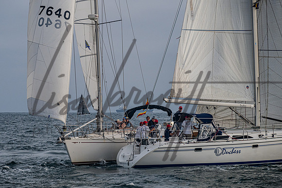 080322 CYC SS-204