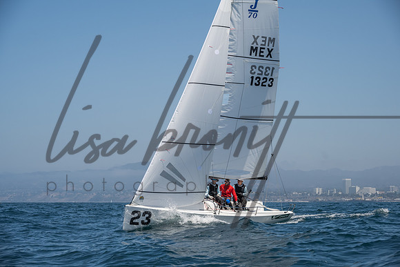 Cal Cup D1-17