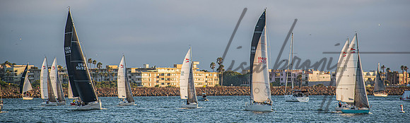 MDR Race 0810 (nw)-116
