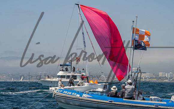 Cal Cup D1-116