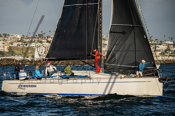 041625 CYC SS-14