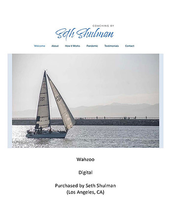 Seth Shulman