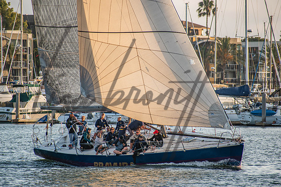 MDR Race 0810 (nw)-43