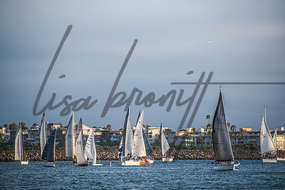 MDR Race 0810 (nw)-212