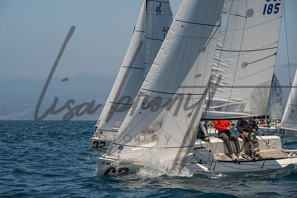 Cal Cup D1-51