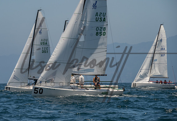 Cal Cup D1-55