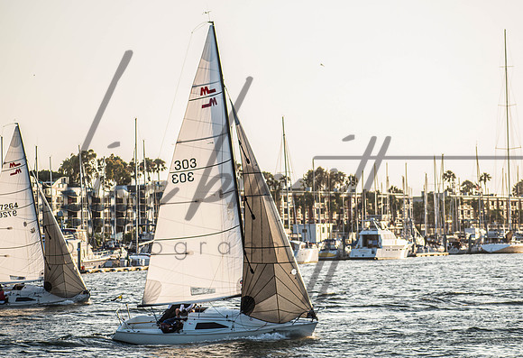 MDR Race 0810 (nw)-186