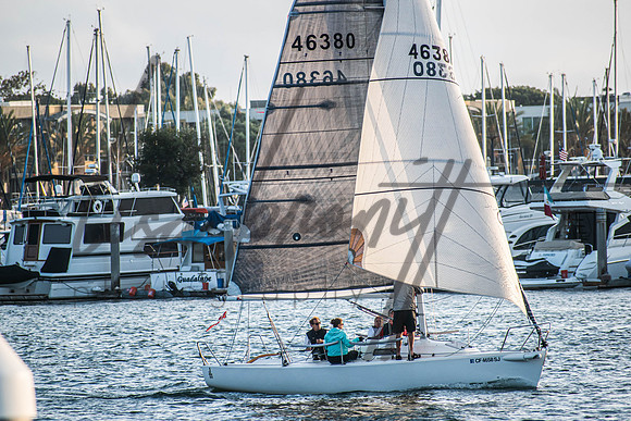 MDR Race 0810 (nw)-211