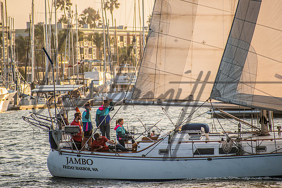 MDR Race 0810 (nw)-275