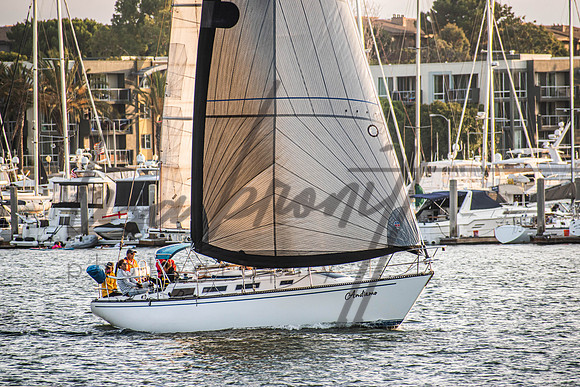 MDR Race 0810 (nw)-230