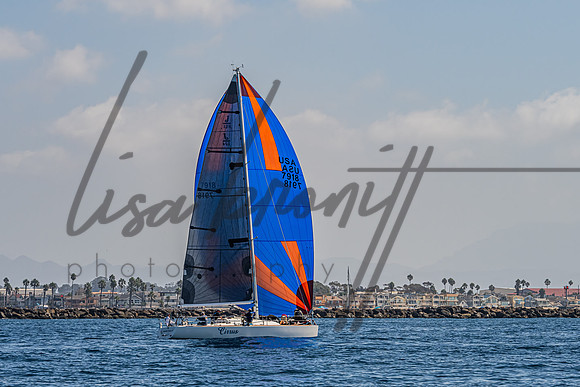 091926 CI2MDR-81Final
