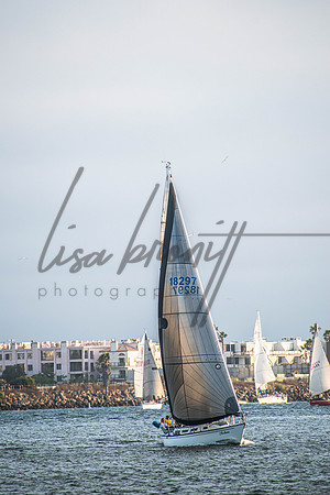 MDR Race 0810 (nw)-221