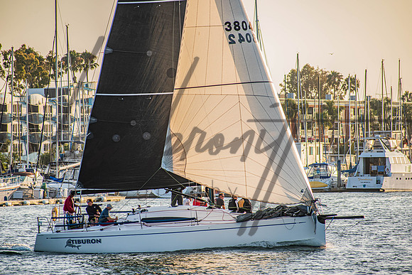 MDR Race 0810 (nw)-88