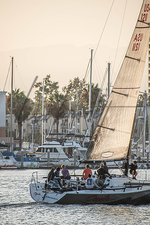 MDR Race 0810 (nw)-176
