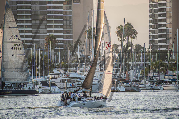 MDR Race 0810 (nw)-181