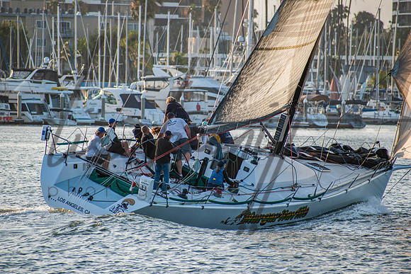 MDR Race 0810 (nw)-22