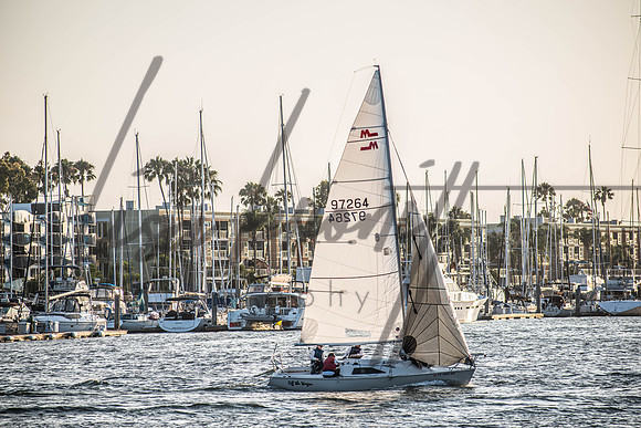 MDR Race 0810 (nw)-190
