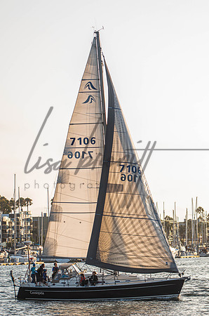 MDR Race 0810 (nw)-259