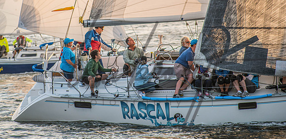 MDR Race 0810 (nw)-320