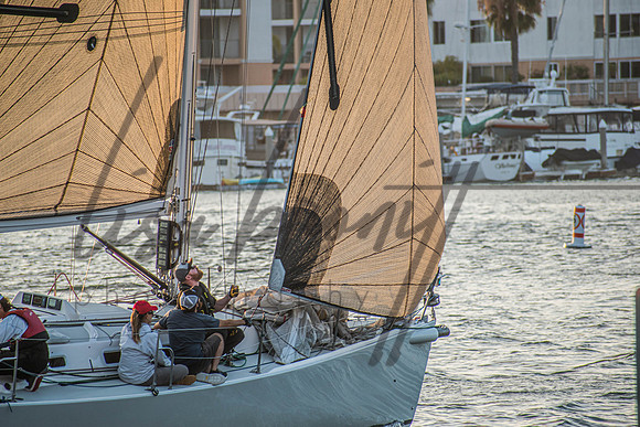 MDR Race 0810 (nw)-285