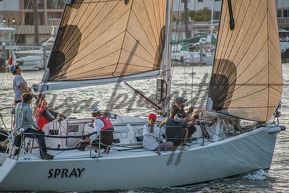 MDR Race 0810 (nw)-286