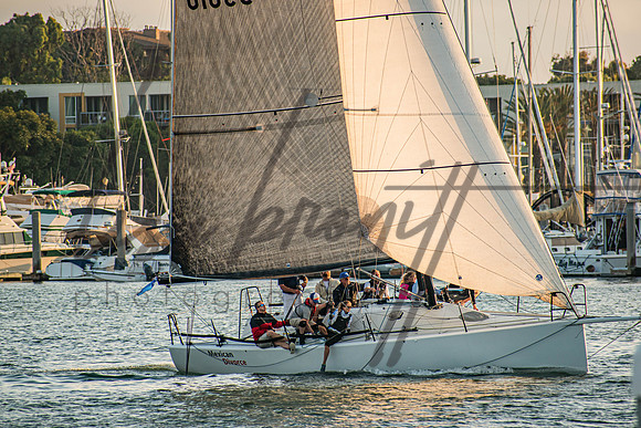 MDR Race 0810 (nw)-85