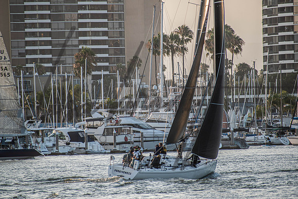 MDR Race 0810 (nw)-185