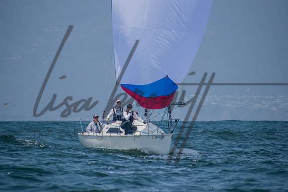 CYC One Design (nw)-41