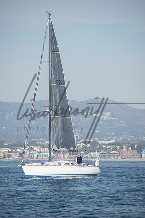 DRYC 010221 (nw)-2