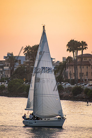 MDR Race Edits 0904 (nw)-195