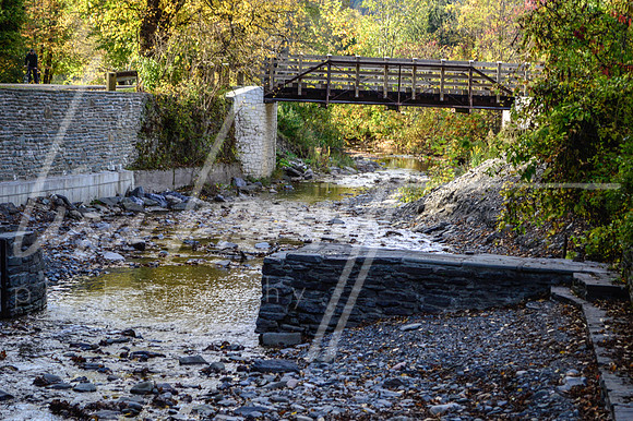 Buttermilk Falls (nw)-4