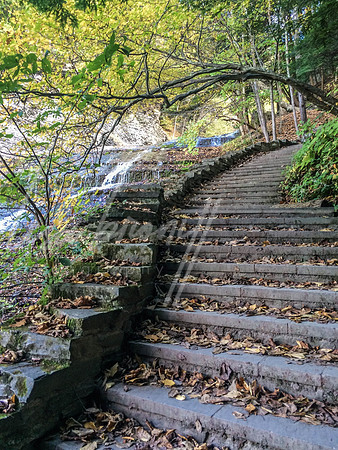 Buttermilk Falls (nw)-6