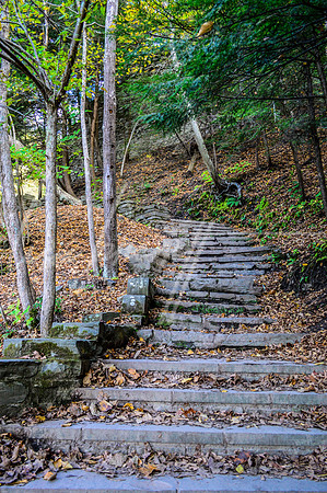 Buttermilk Falls (nw)-8