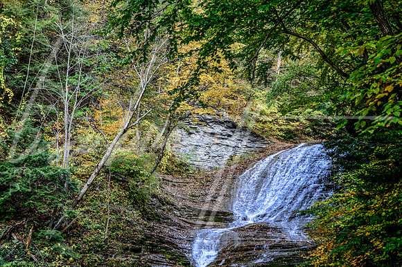 Buttermilk Falls (nw)-11