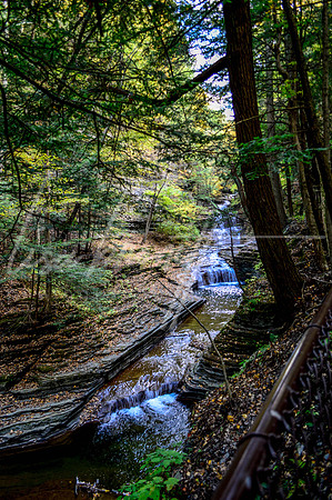 Buttermilk Falls (nw)-15