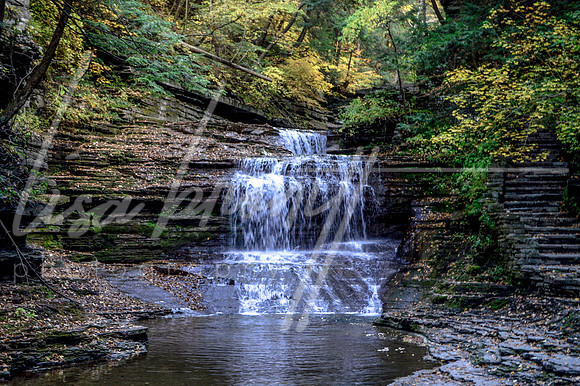 Buttermilk Falls (nw)-16