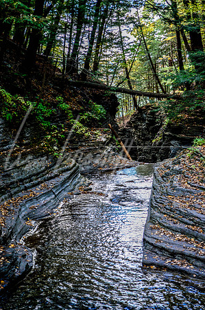 Buttermilk Falls (nw)-17