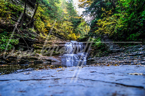 Buttermilk Falls (nw)-18