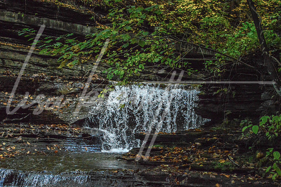 Buttermilk Falls (nw)-21