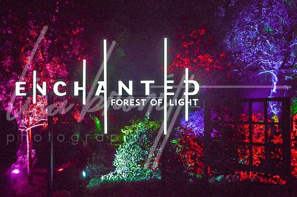 Enchanted Forest (nw)-8