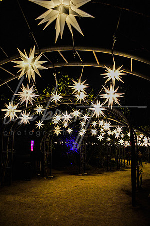 Enchanted Forest (nw)-68