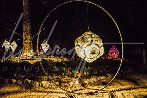 Enchanted Forest (nw)-76