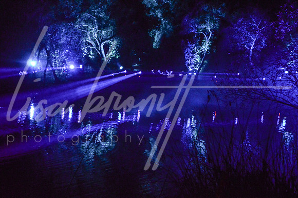 Enchanted Forest (nw)-100