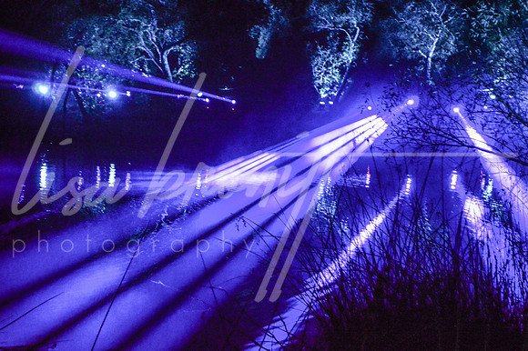 Enchanted Forest (nw)-101