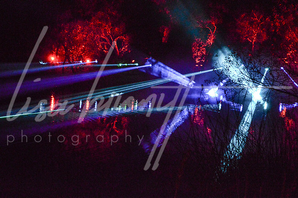 Enchanted Forest (nw)-106