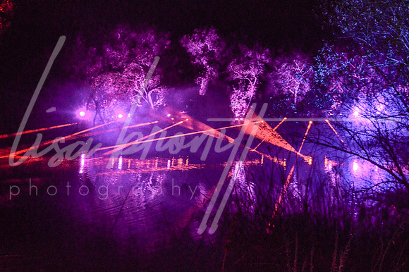 Enchanted Forest (nw)-117