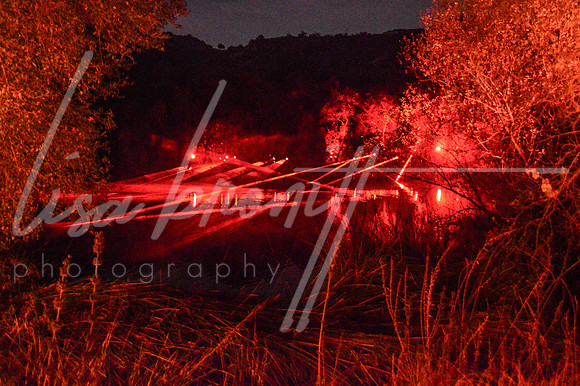 Enchanted Forest (nw)-119