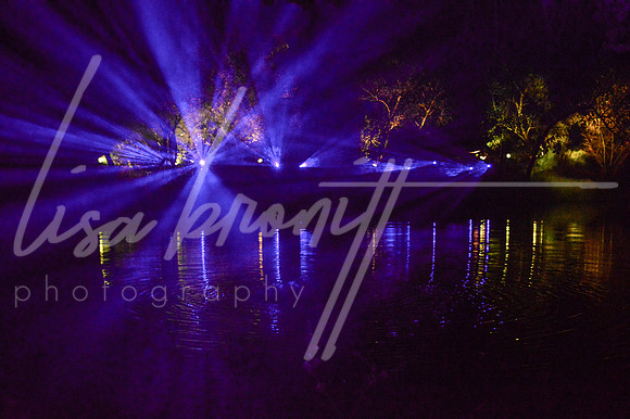 Enchanted Forest (nw)-122
