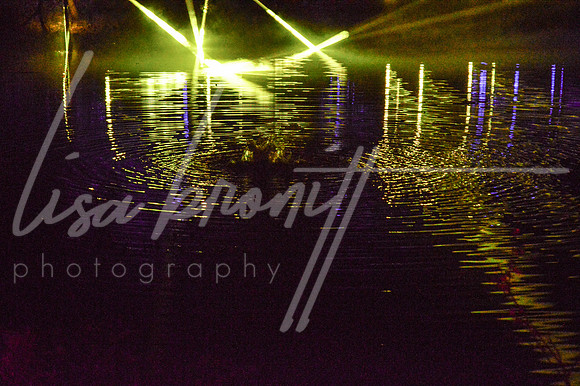 Enchanted Forest (nw)-128